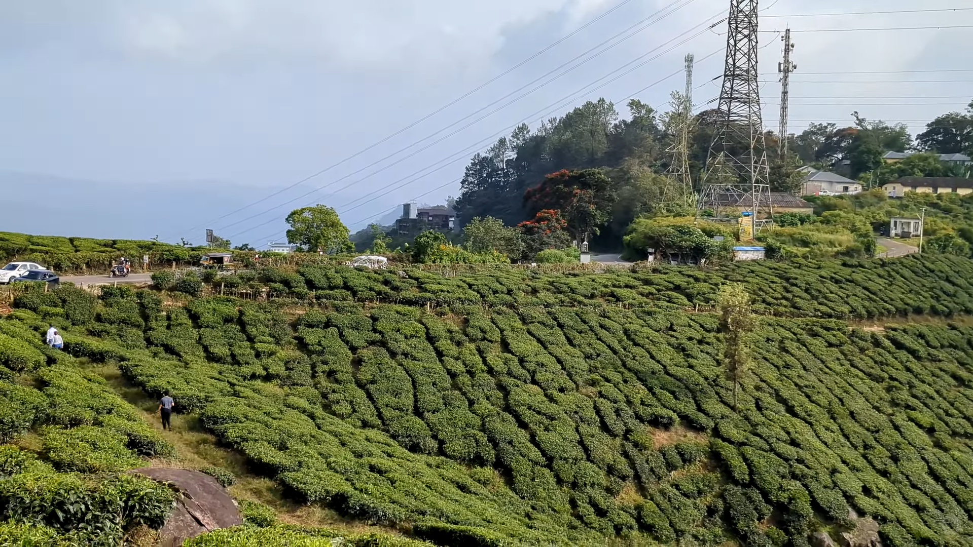 Exploring Munnar by KSRTC: A Couple’s Scenic Journey